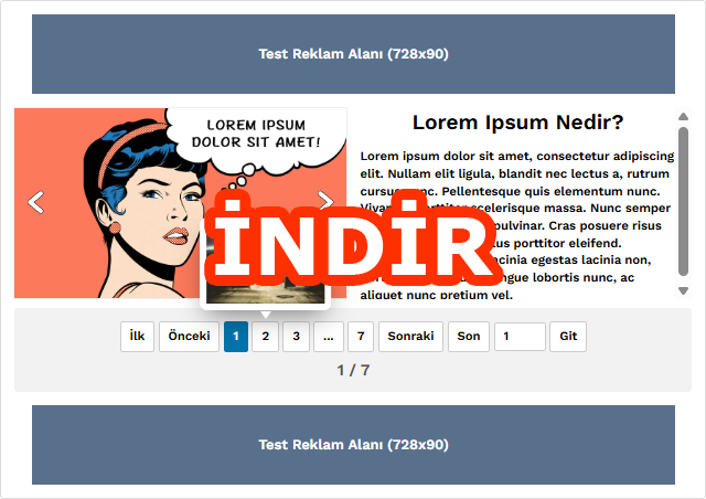 WordPress Galeri Eklentisi 2